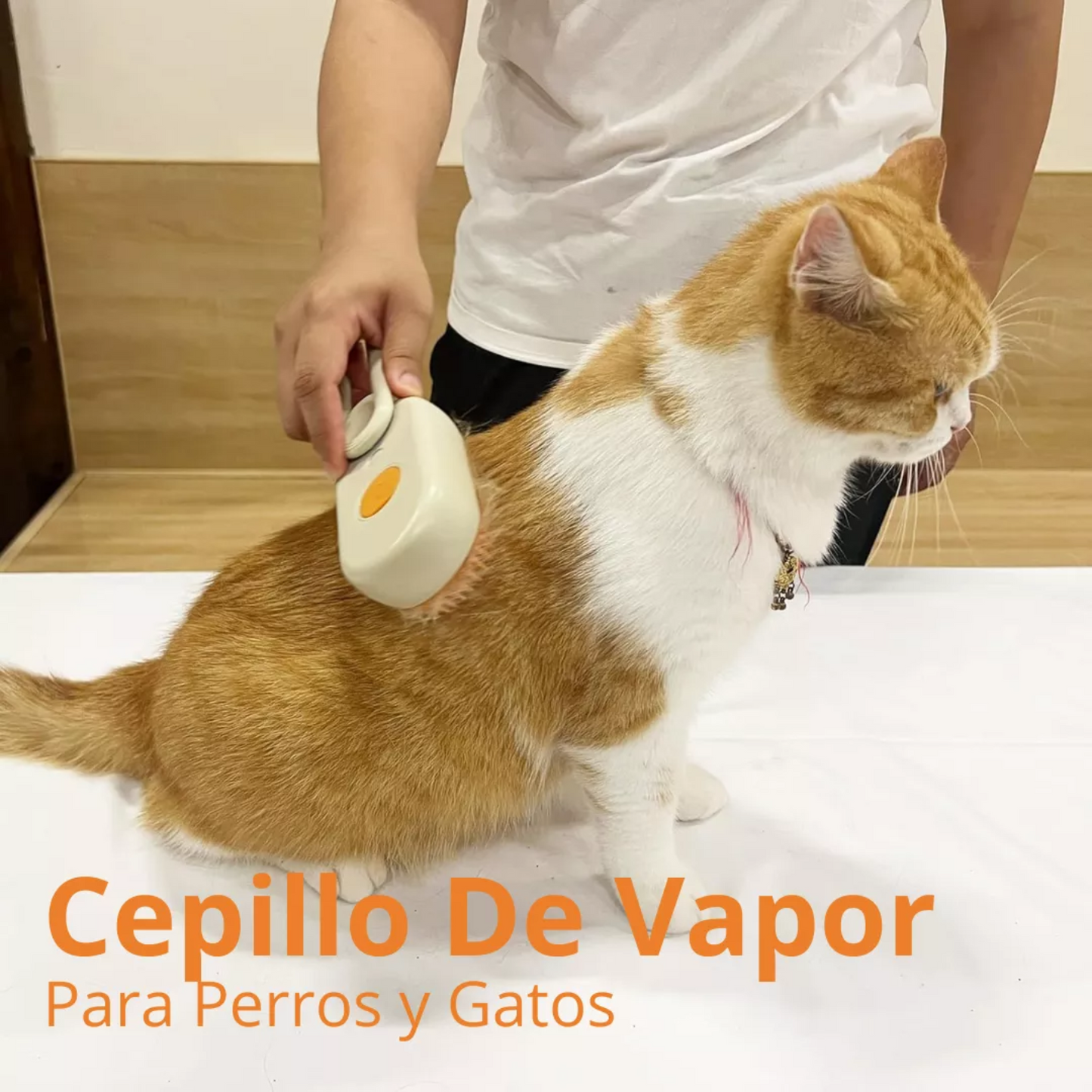 Cepillo Para Mascotas A Vapor Recargable