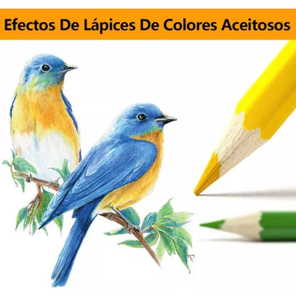 Kit 72 Lapices Para Colorear Arte Dibujo